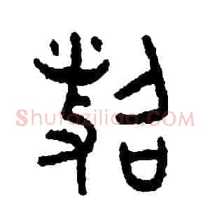 照