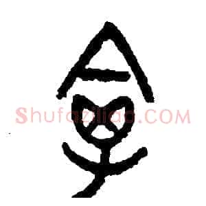 禽