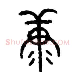 糠
