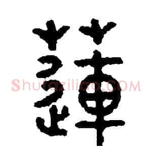 蓮