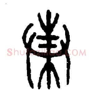 蛛