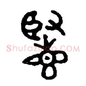 覽