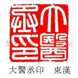 大醫,医丞印