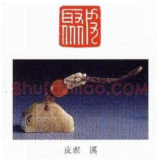 皮聚