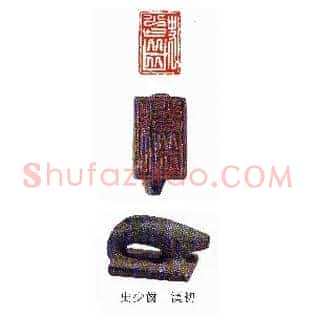 史少齒,齿