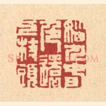 恼人春色,还上枝头