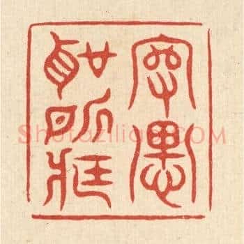 守愚圣所臧