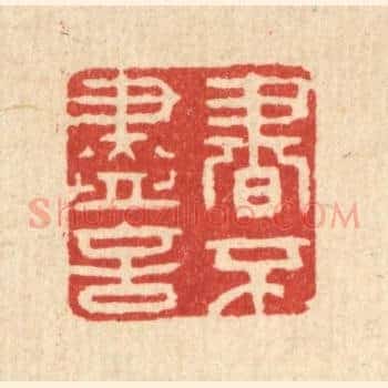 书不尽言