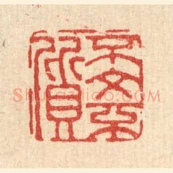 不文不质