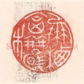 凤栖合欢木