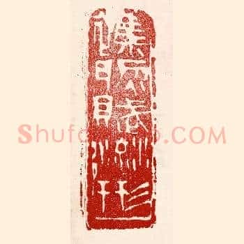 杂然赋流形