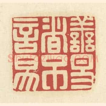 善易者不言易