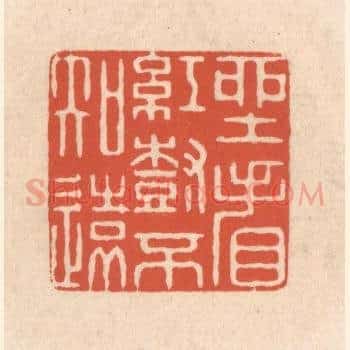 坐看红树不知远