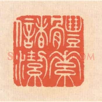 体素储洁