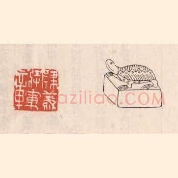 建义将军章
