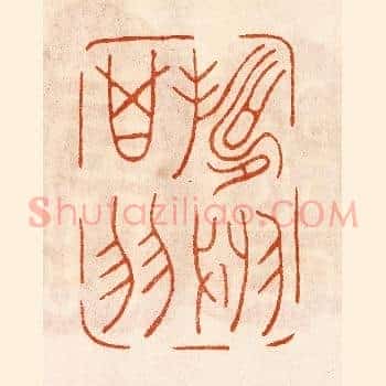 寿于箕翼