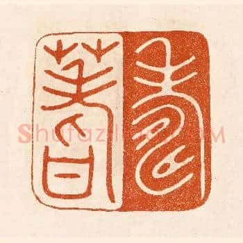 寿蓍