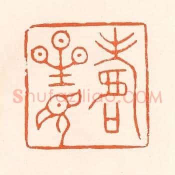 寿星见