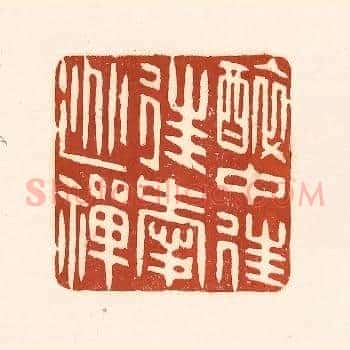 醉中往往爱逃禅