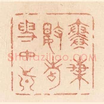 寒梅数点雪中真