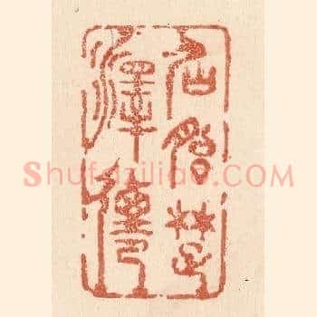 仙胎楚泽迁