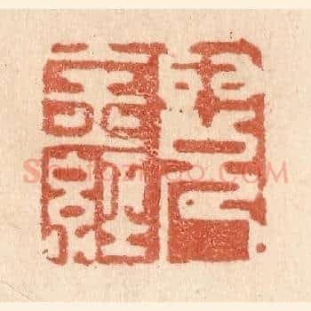 阅金经