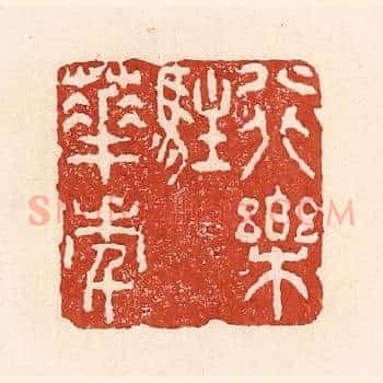行乐驻华年