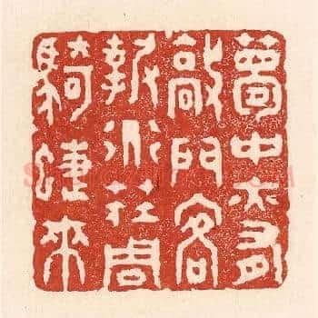 梦中亦有敲门客,报道庄周骑蜨来