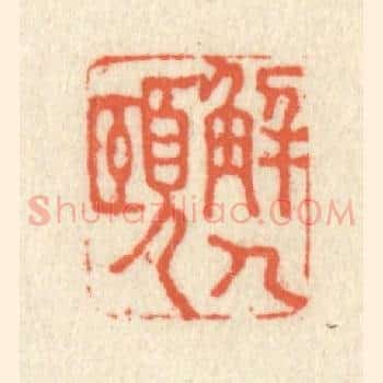 解人颐