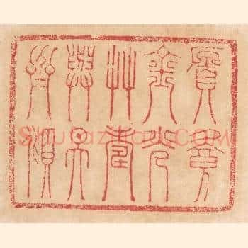 愿餐金光草，寿与天齐倾