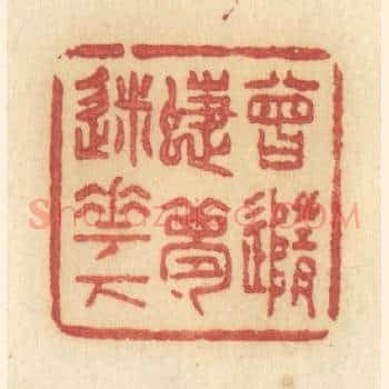 曾随蝶梦迷花下