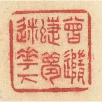 曾随蝶梦迷花下
