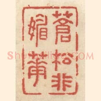 苍松非媚花