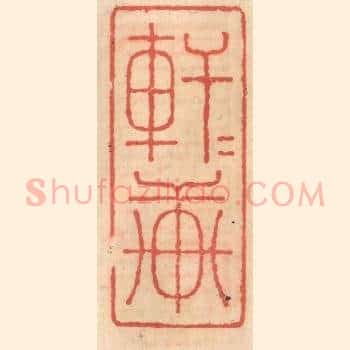 轩轩轩