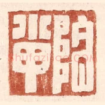 阴小甲